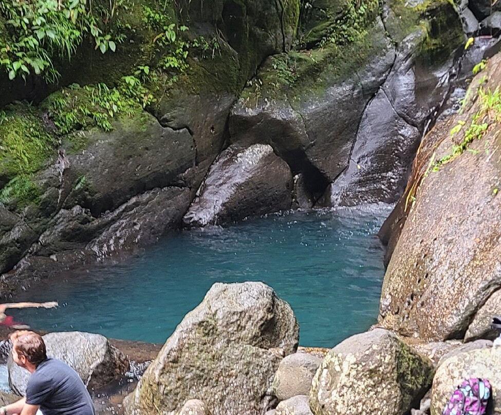 Cascades du Bassin Bleu-Gourbeyre必去景点