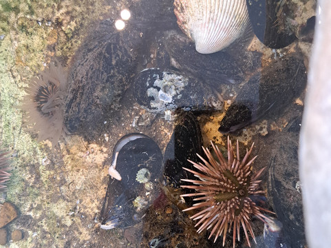 Fundación Ecocentro-马德林港必去景点