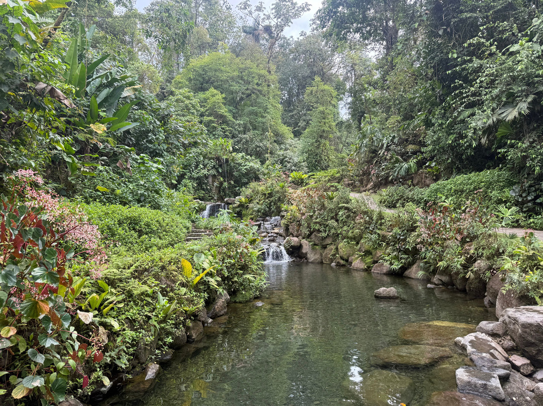 Kurú Natural Springs-福德圣卡洛斯必去景点