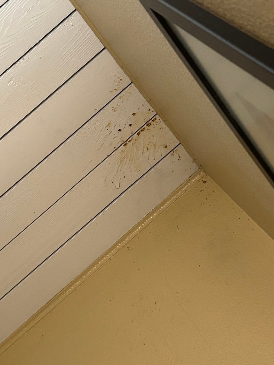 度瑞文姆斯酒店-官方