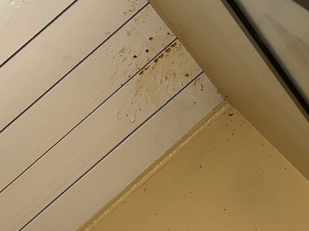 度瑞文姆斯酒店主图