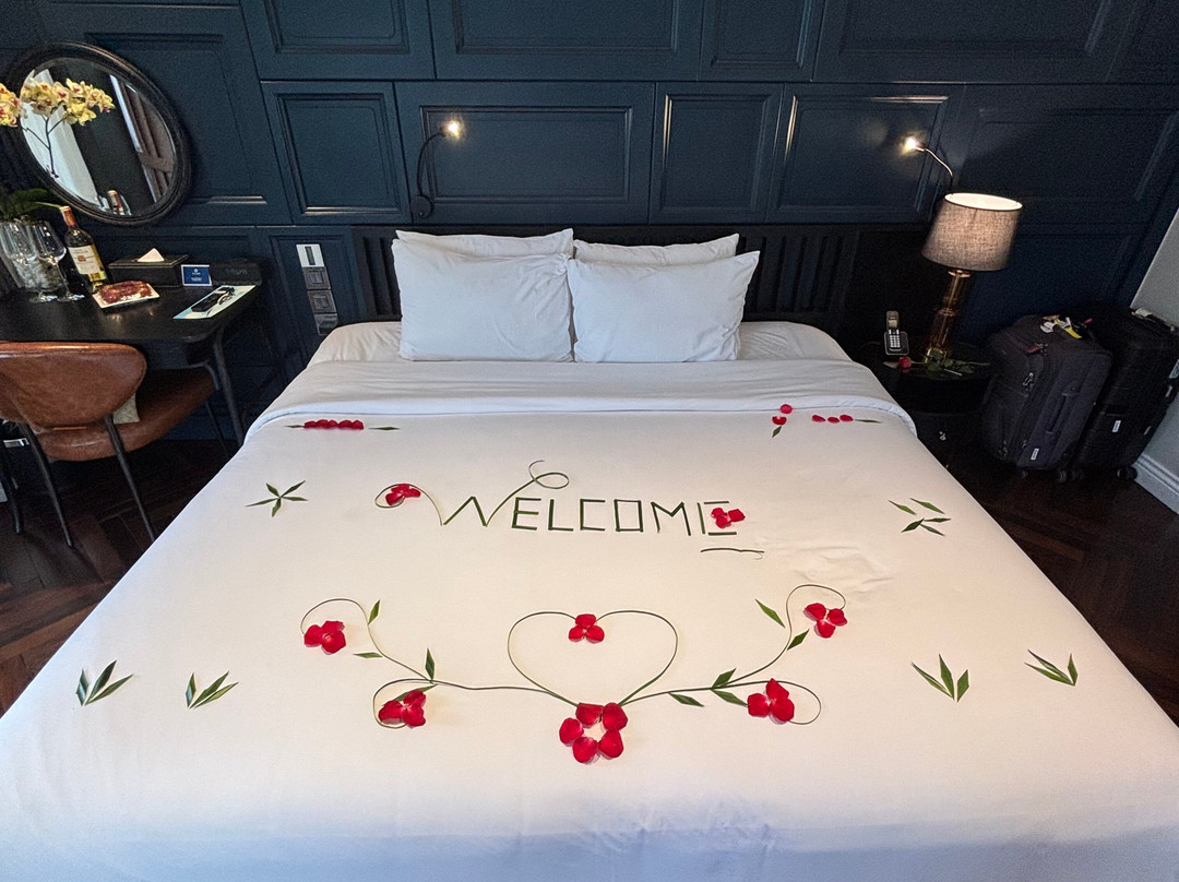 Elite of the Seas-下龙湾必去景点