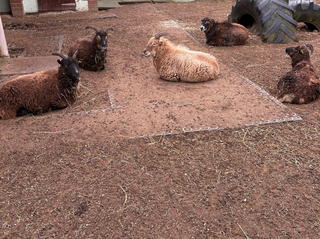 Natureland Seal Sanctuary-斯凯格内斯必去景点