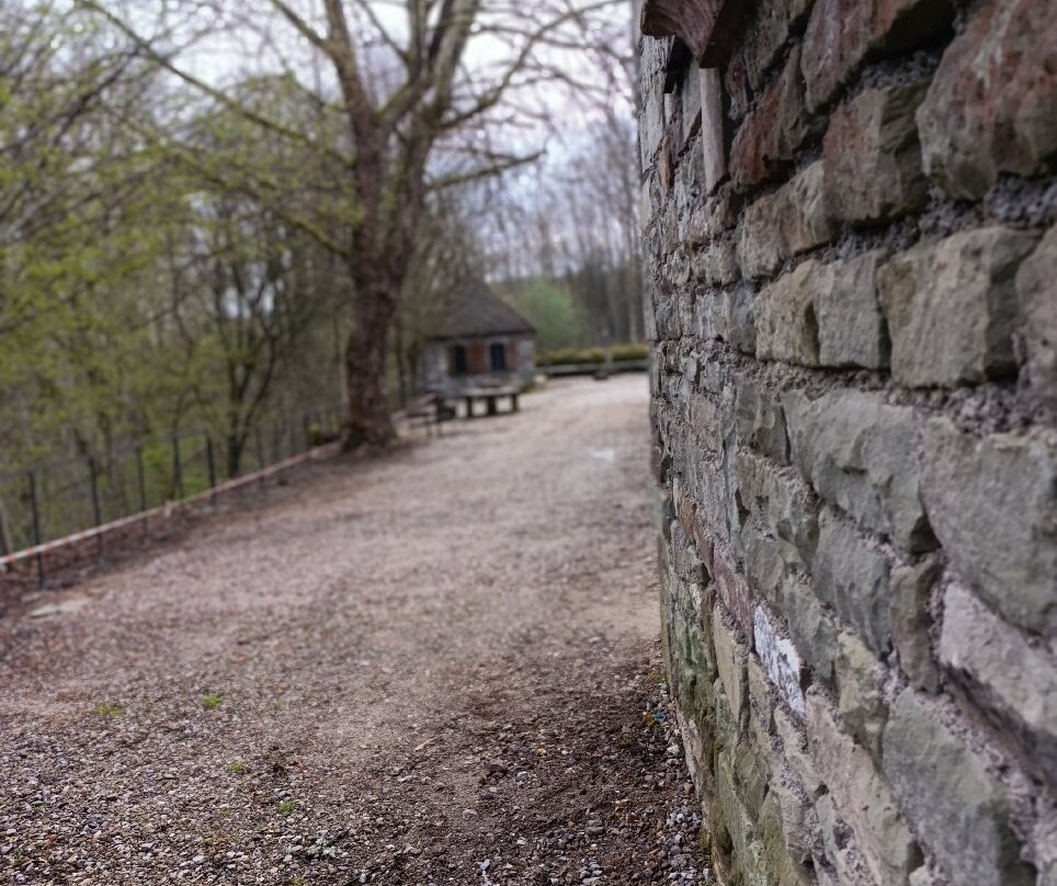 Parc Animalier de Fougerolles - Saint-Valbert-Fougerolles必去景点