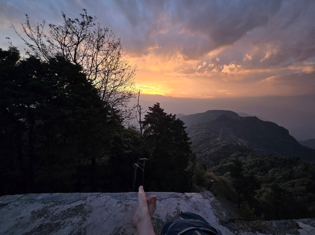 Vinyasa Yogashala-Tapovan必去景点