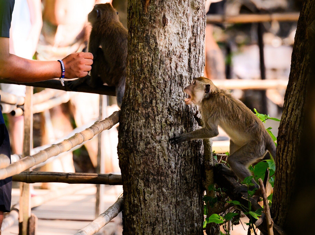 Monkey Trail-奥南必去景点