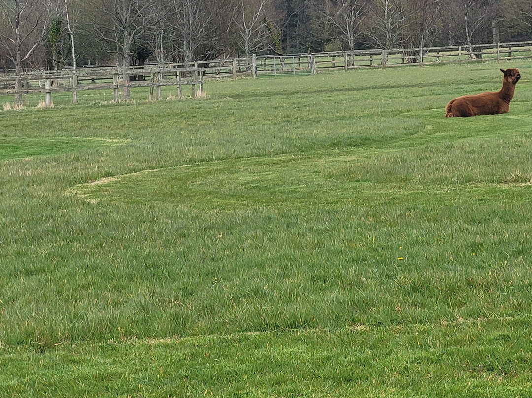 鲍尔斯考特温泉健康农家乐主图