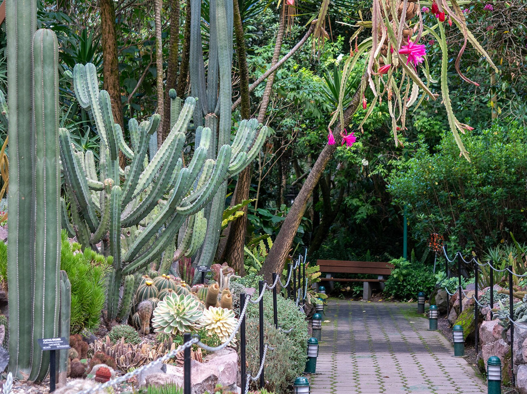 Jardín Botánico de Quito-基多必去景点