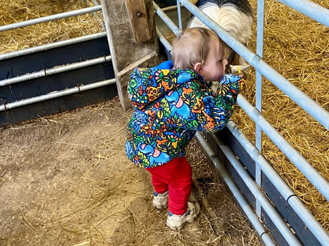 Thrift Farm-Whaddon必去景点