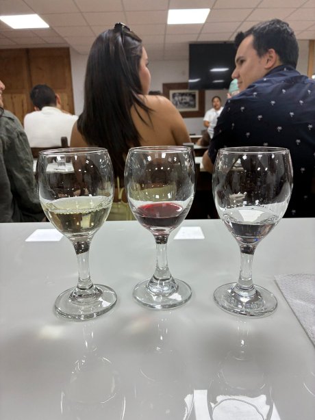 维纳斯奎若罗酒店-官方