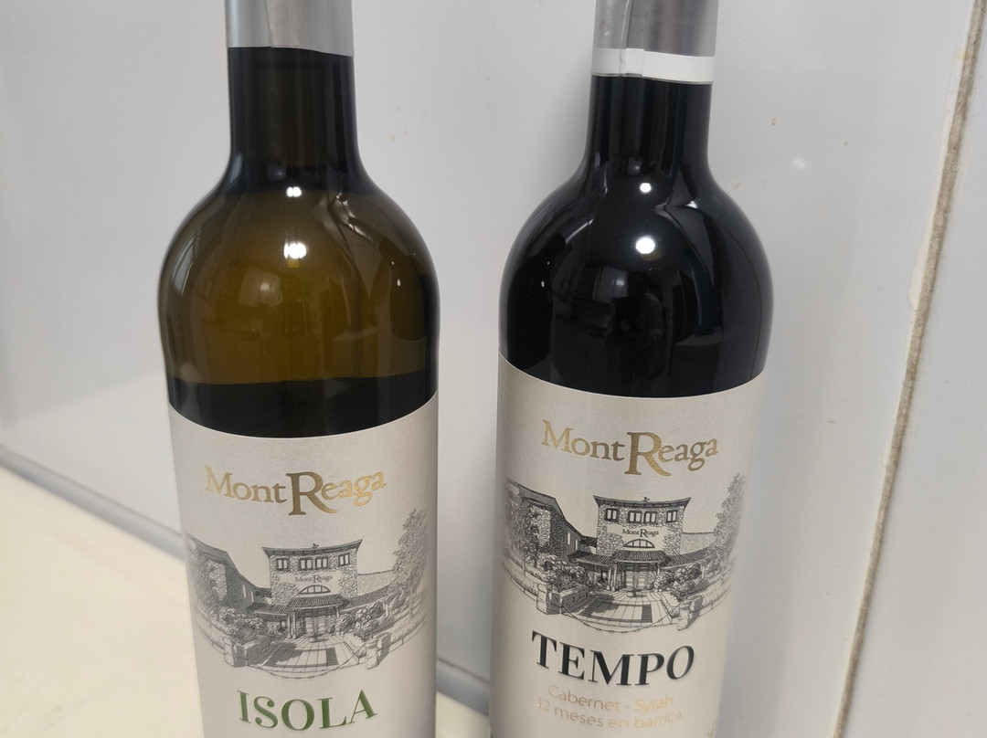 Bodega Mont Reaga-Monreal del Llano必去景点