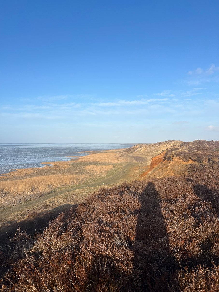 蓝德豪斯塞韦林酒店-官方