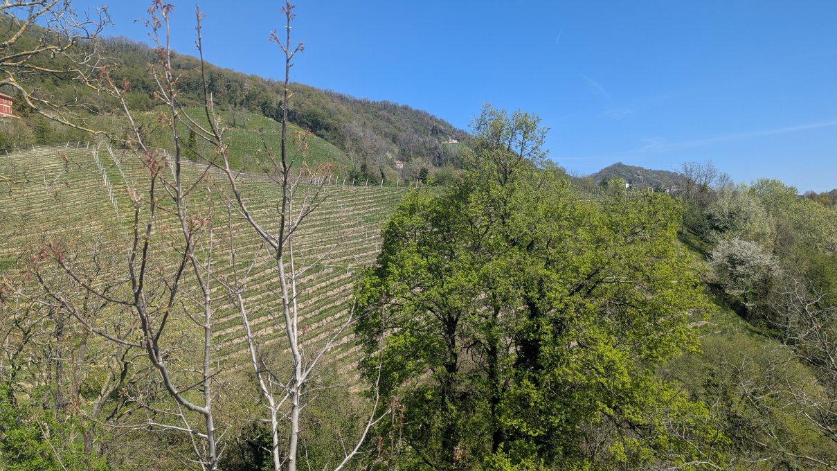 里莱斯度卡迪多尔酒店-官方