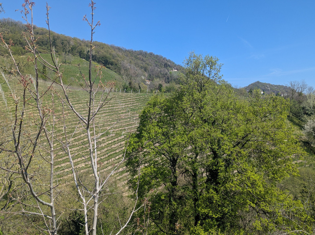 里莱斯度卡迪多尔酒店主图