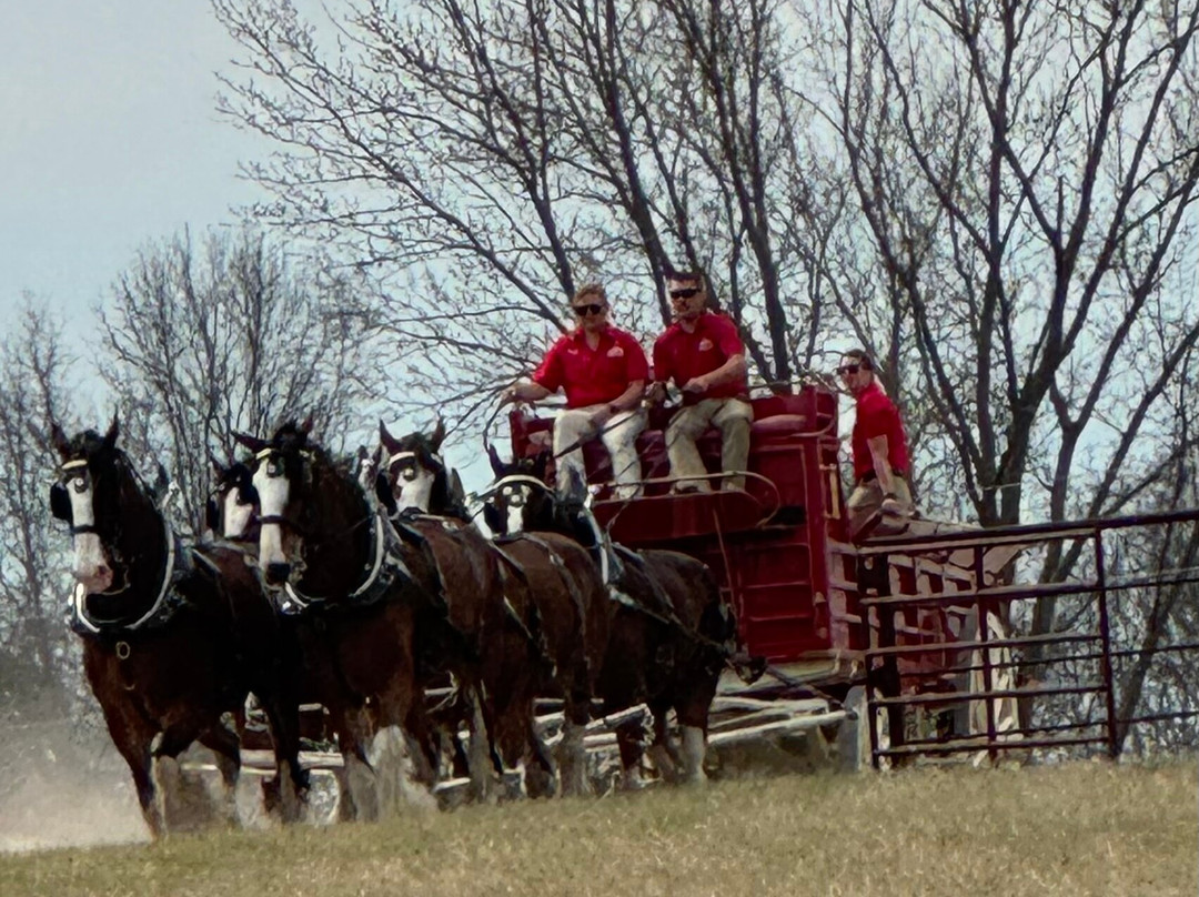 Warm Springs Ranch-Boonville必去景点