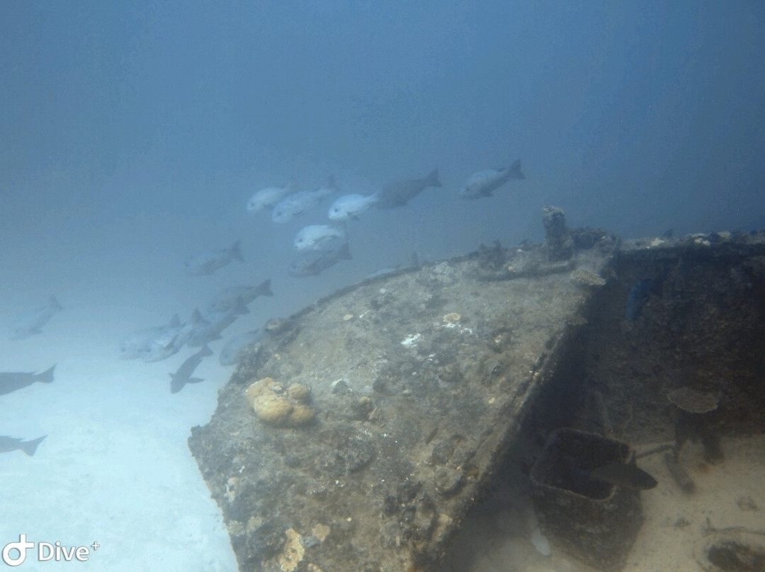 Euro-Divers Meeru-蜜月岛必去景点