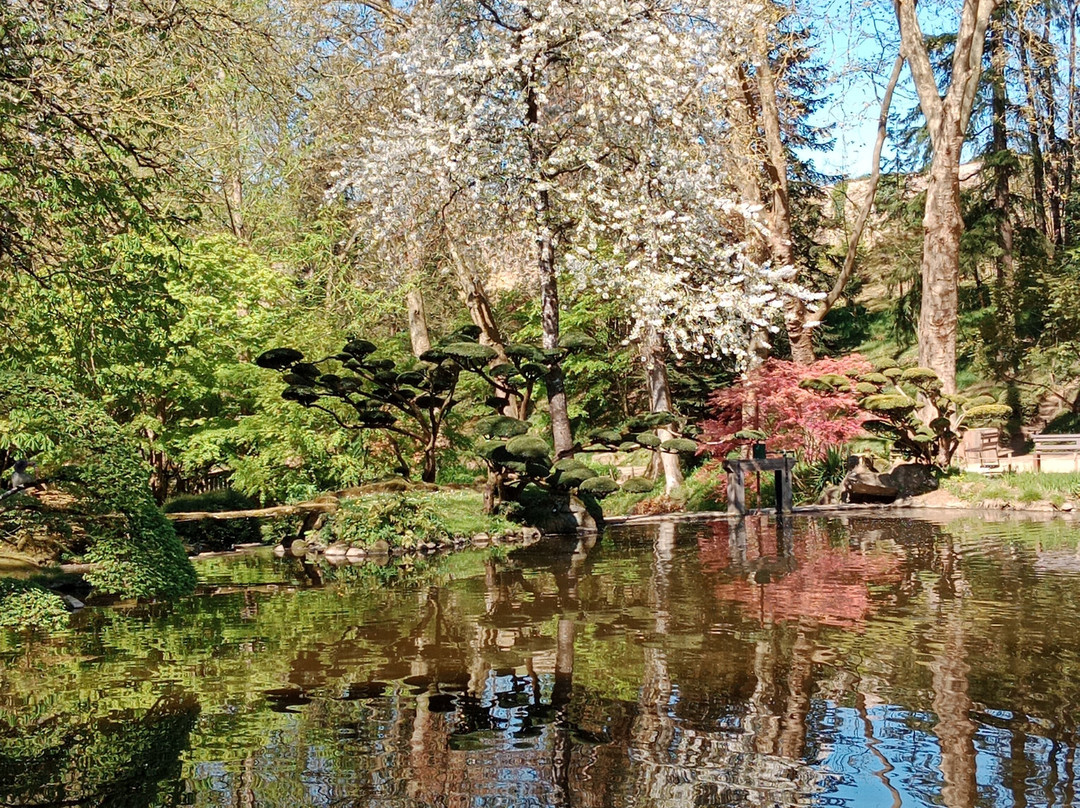 Parc Oriental de Maulevrier-Maulevrier必去景点