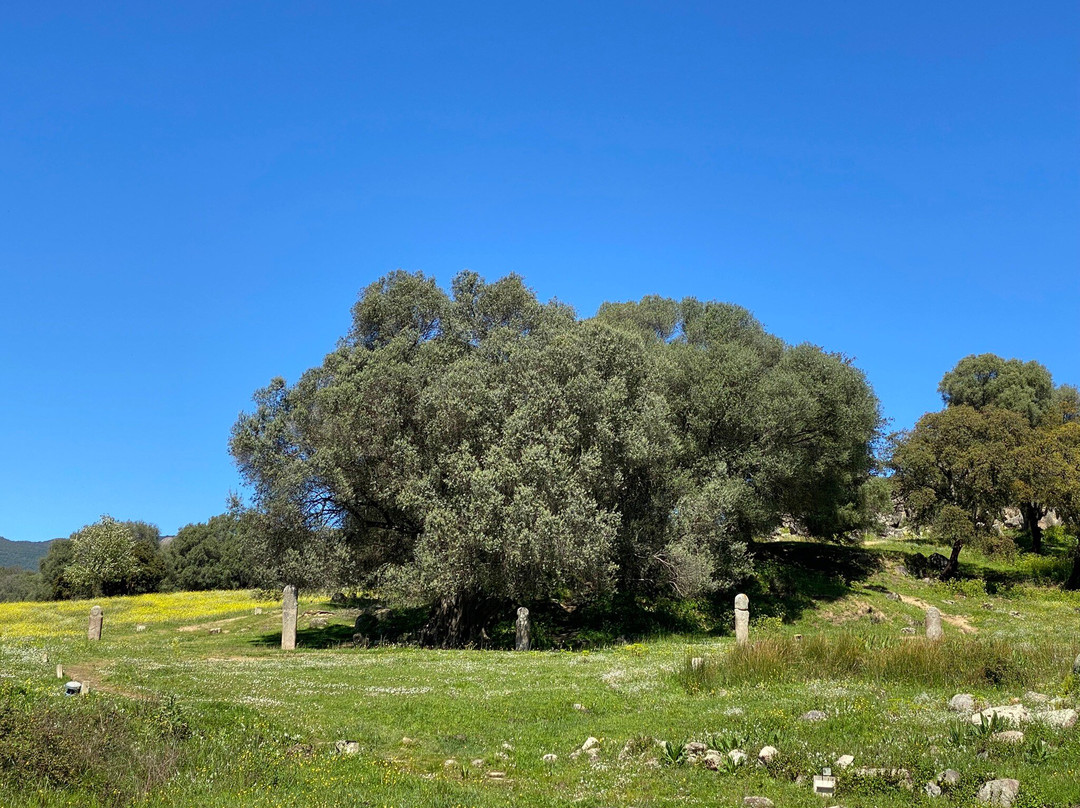 Filitosa-Sollacaro必去景点