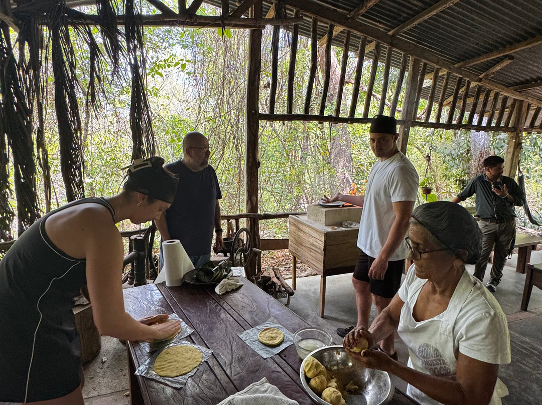 Jacamar Naturalist Tours-利比里亚必去景点
