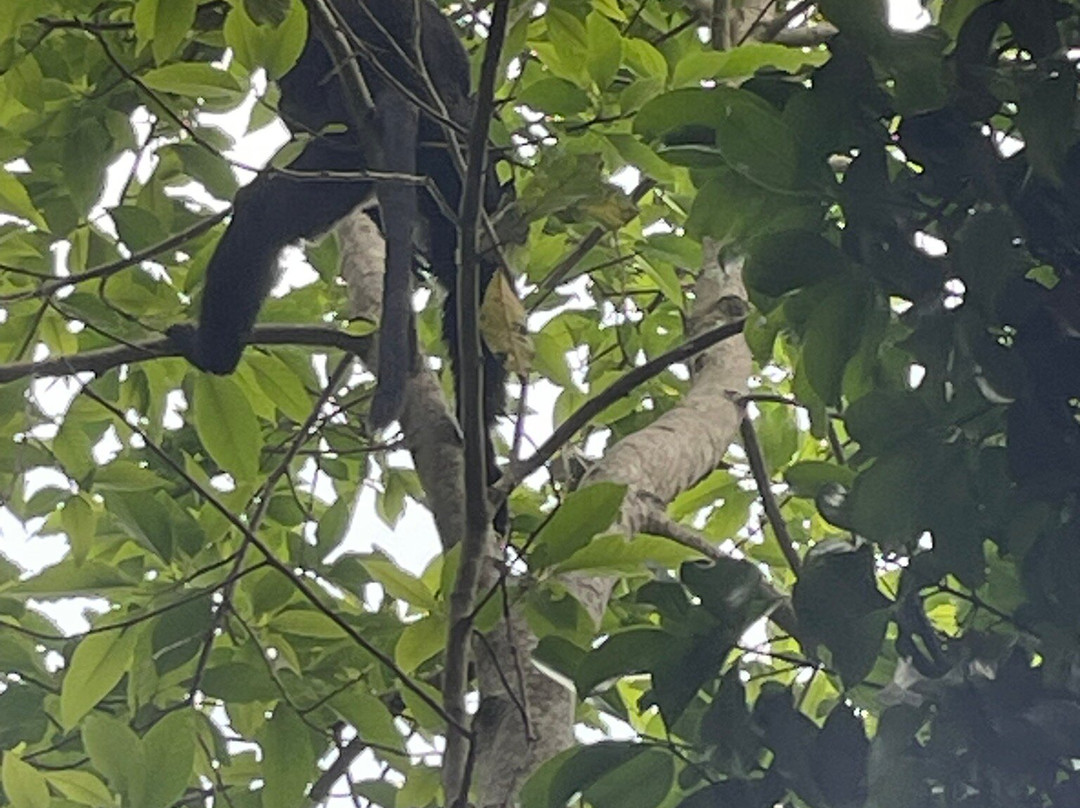 J & J Taxi Service-柯钦必去景点