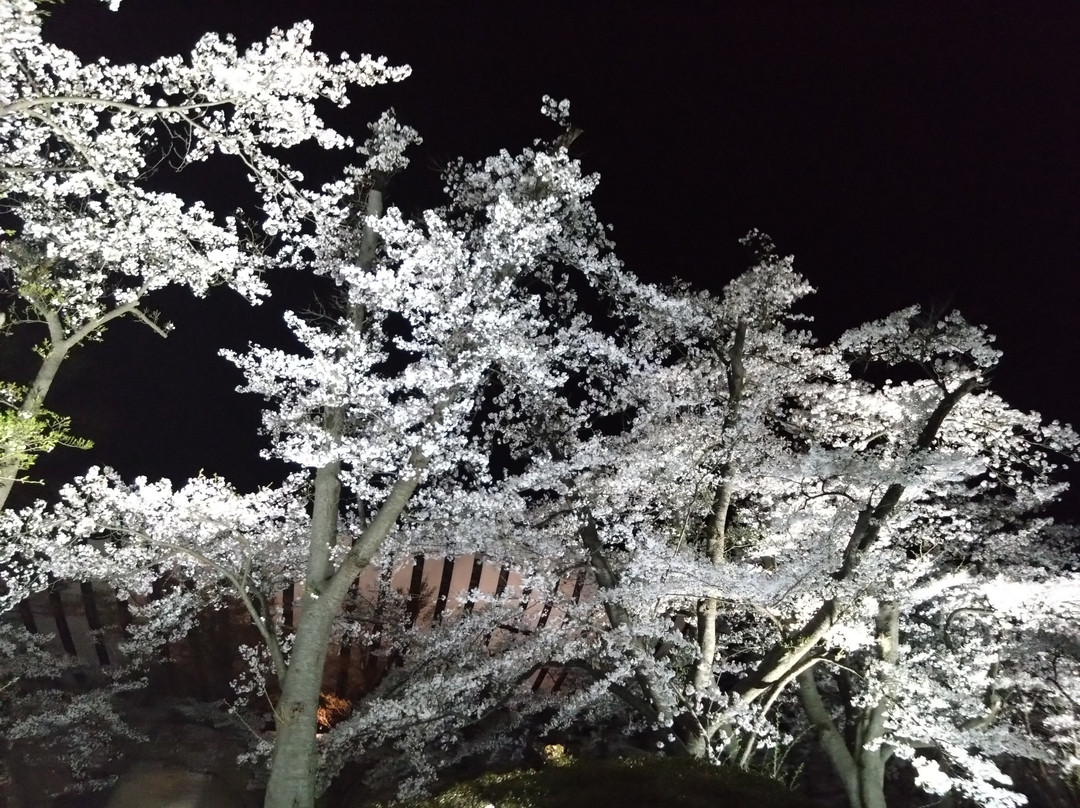 Kaiseiyama Park-郡山市必去景点