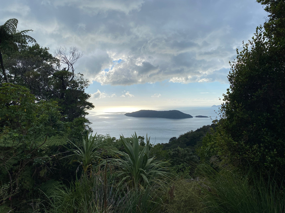 Wilderness Guides - Day Tours-皮克顿必去景点