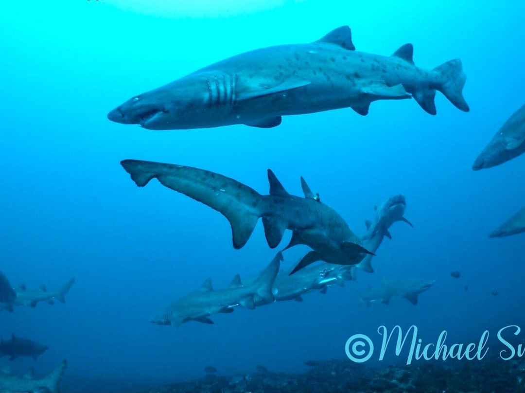 African Watersports-Umkomaas必去景点