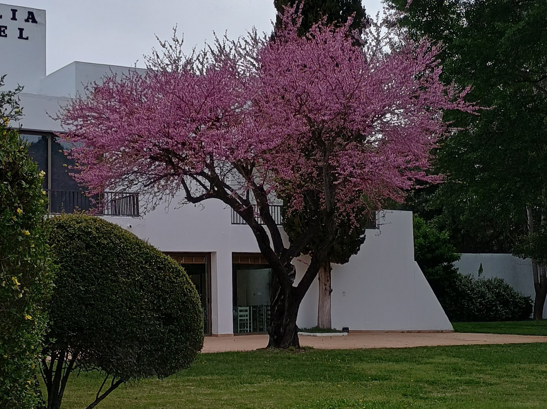 奥林匹亚阿玛利亚酒店主图