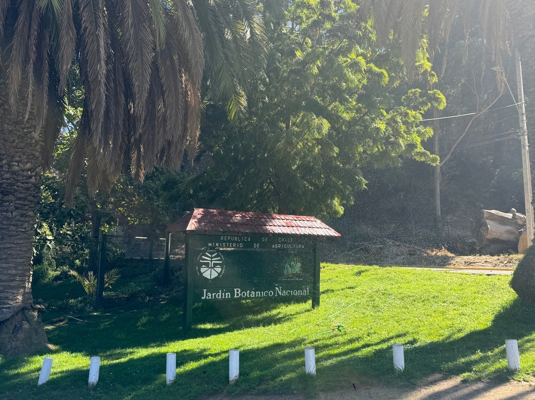Jardín Botanico Nacional-比尼亚德尔马必去景点