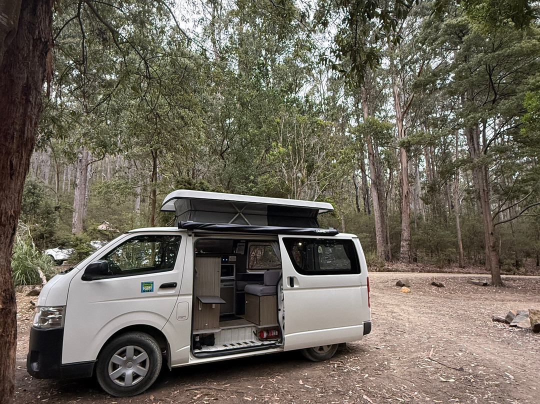 Tasmanian Campervan Hire-Mornington必去景点