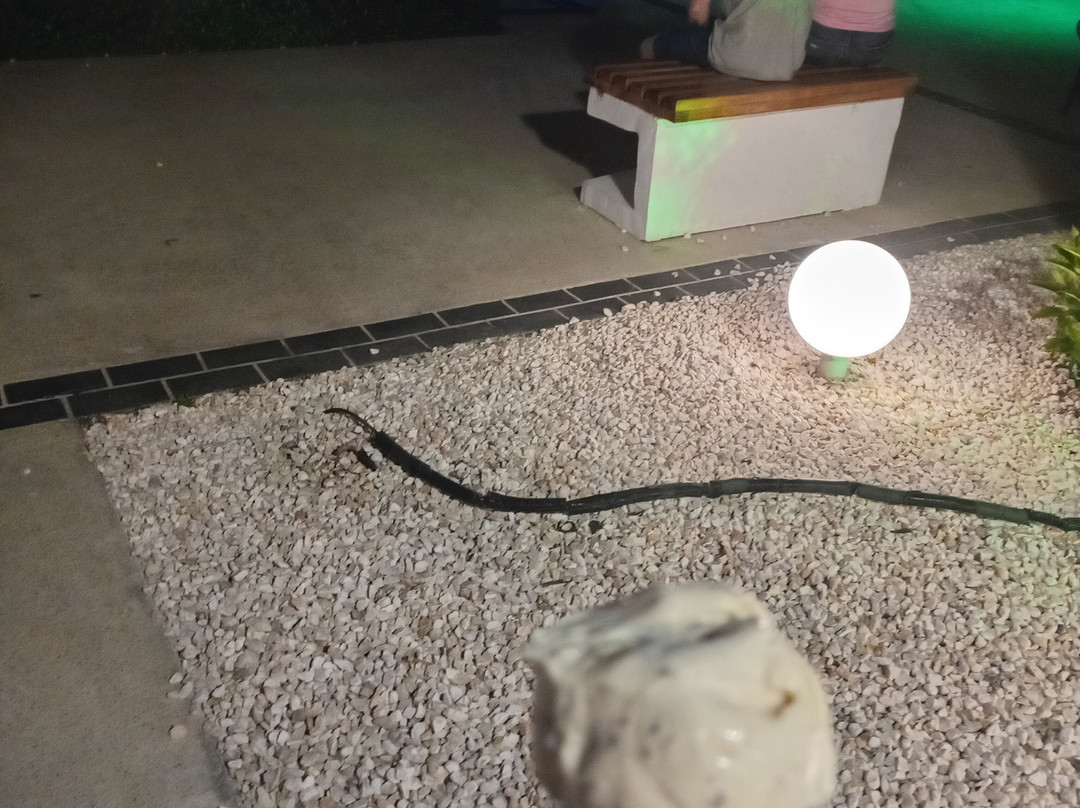 海洋珊瑚泉酒店-全包主图