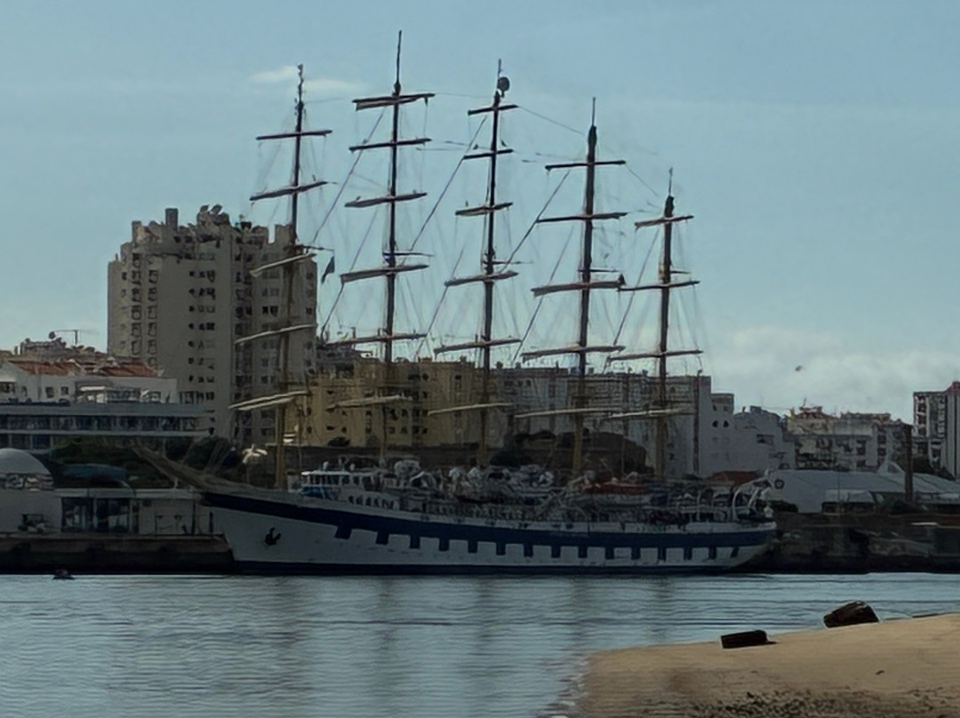 Wildwatch Algarve-费拉古多必去景点
