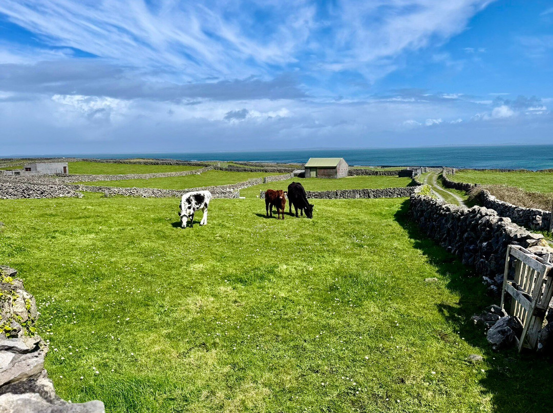 Aran Bike Hire-Inishmore必去景点
