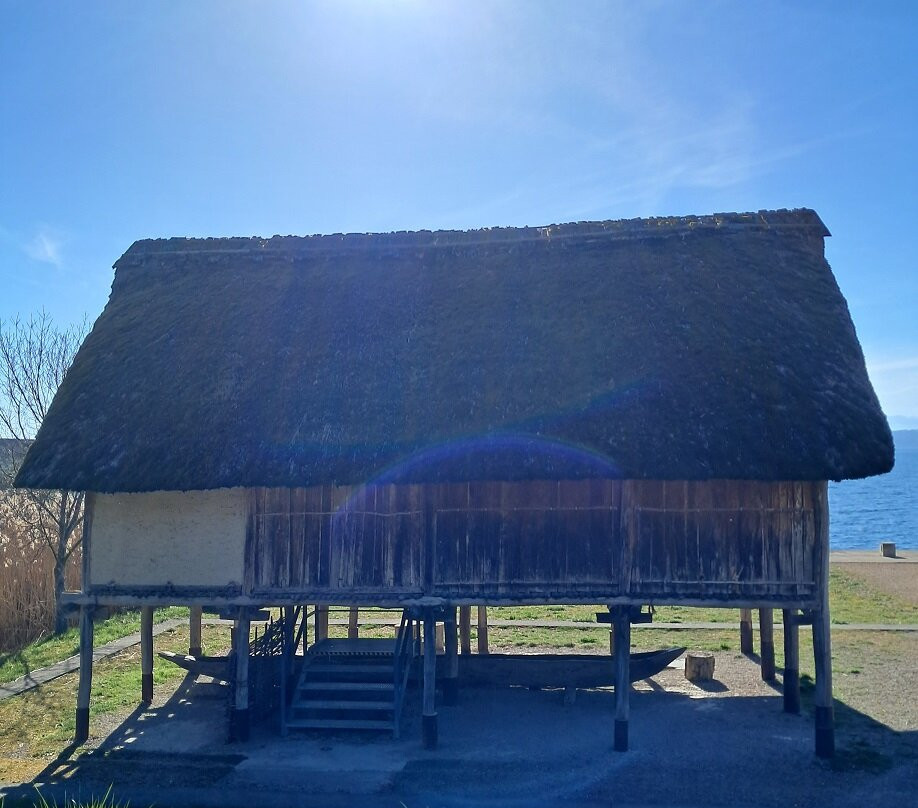 Laténium Parc et musée d'archéologie-Hauterive必去景点