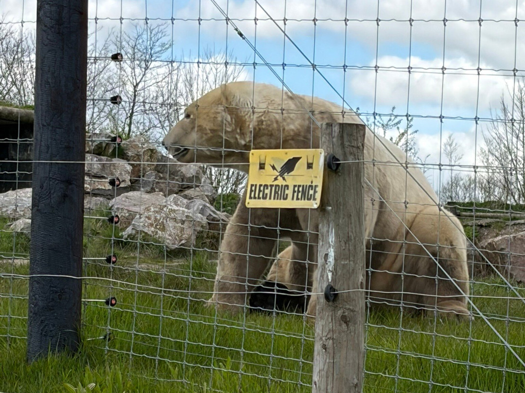 Peak Wildlife Park-Winkhill必去景点