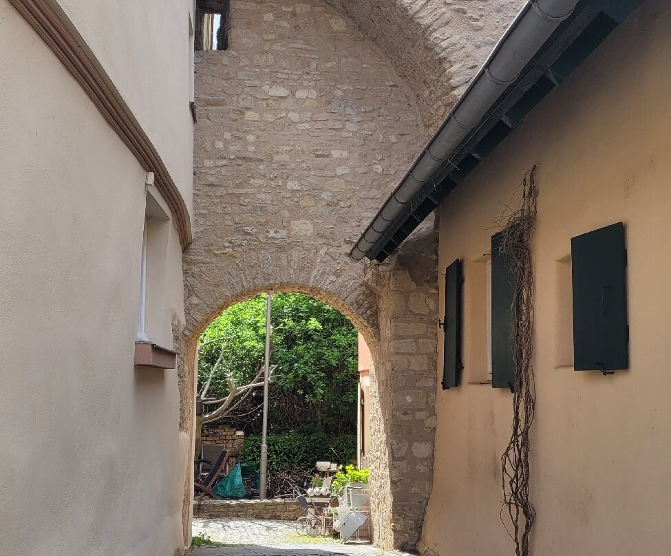 Kaiserpfalz Ingelheim-Ingelheim必去景点