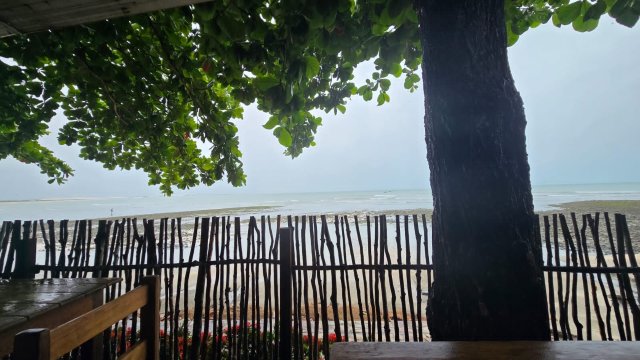 蓬达佩德拉旅馆-旅行者
