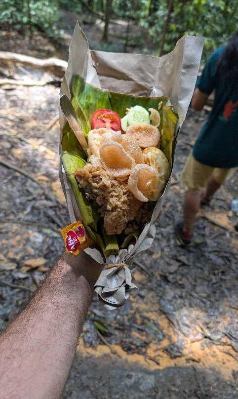 Sumatra Jungle Trek In!-武吉拉旺必去景点