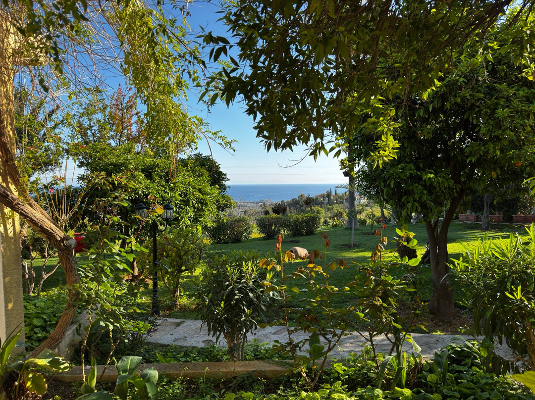 Bellapais Gardens Hotel主图