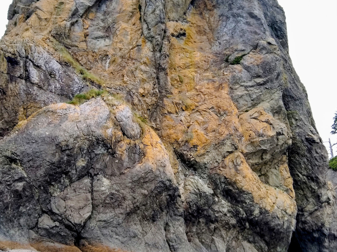 Second Beach-La Push必去景点