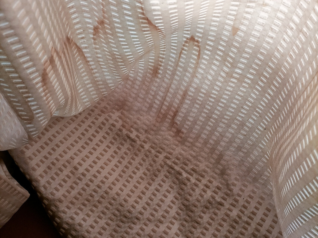 雪松屋精品民宿主图