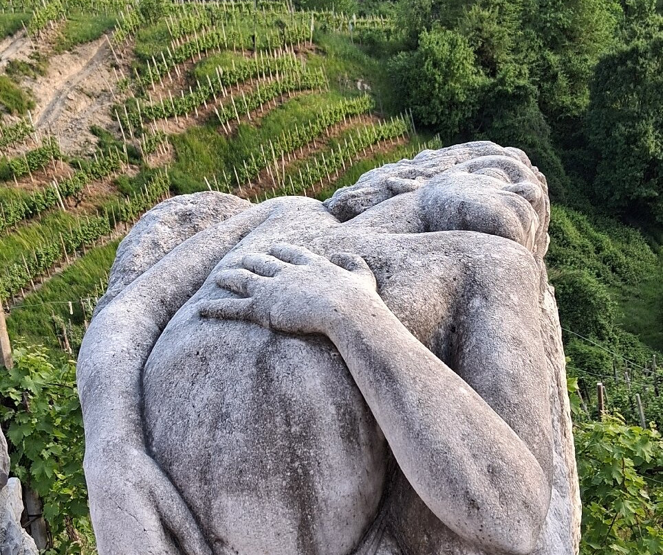 噶斯塔尔多迪罗尔住宿加早餐旅馆主图