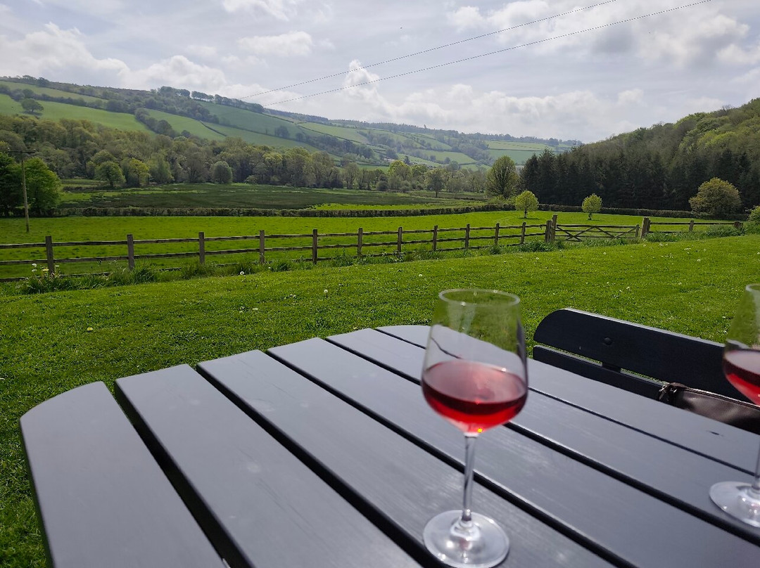 Alder Vineyard-Lewdown必去景点