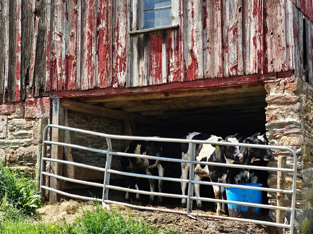 Rutledge Brick House Farm