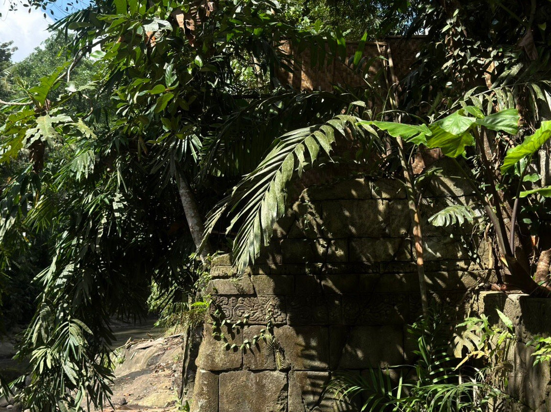 Suenyo Eco Retreat主图