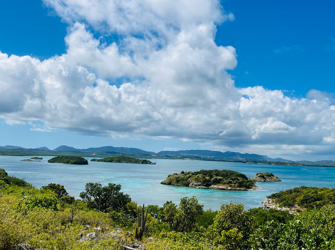 Great Bird Island-圣 约翰必去景点