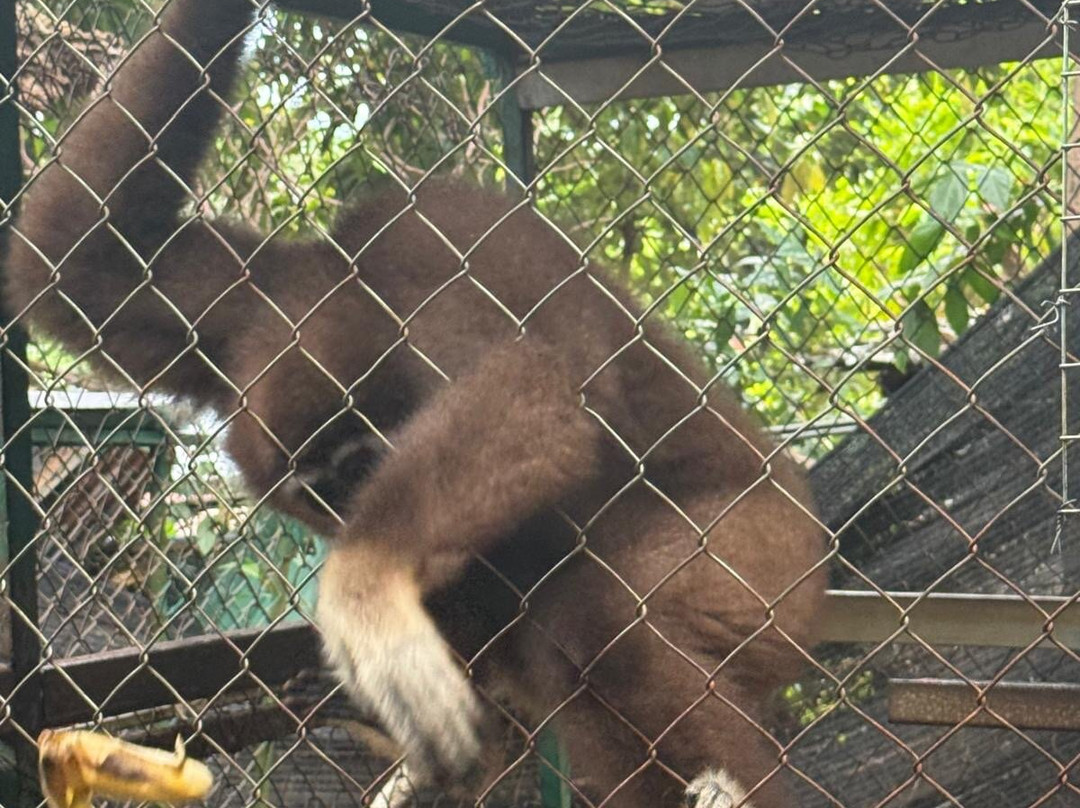 Samui Monkey Centre-利巴诺伊必去景点