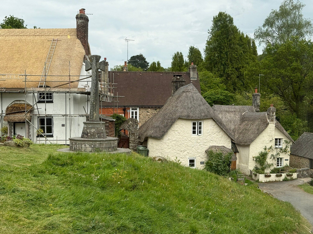 Unique Devon Tours-牛顿阿伯里必去景点