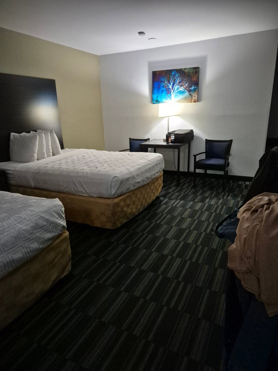 阿拉莫萨贝斯特韦斯特酒店-旅行者
