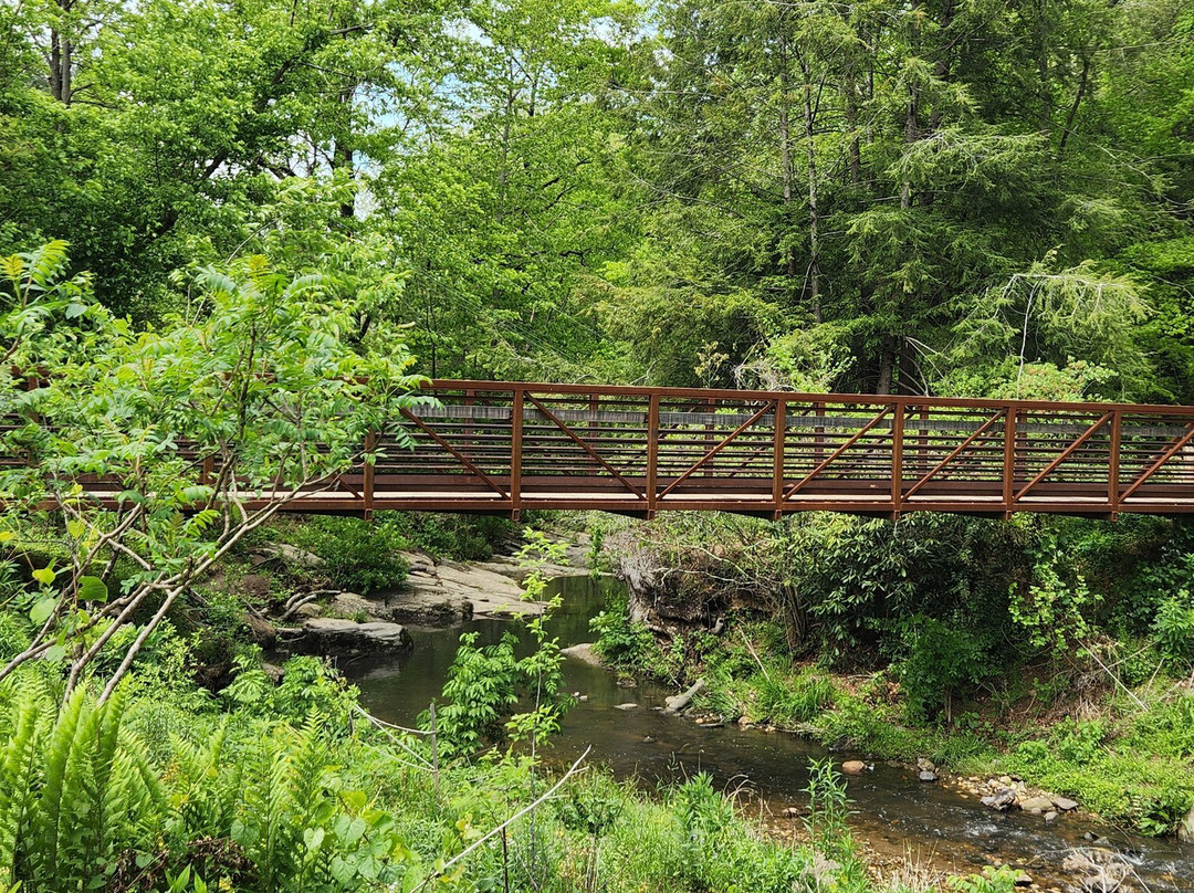 Asheville Botanical Garden-阿什维尔必去景点